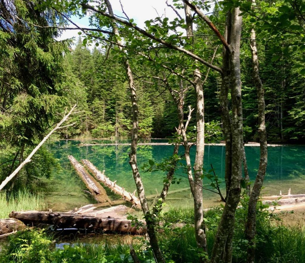 Waldnerhuette Holiday home