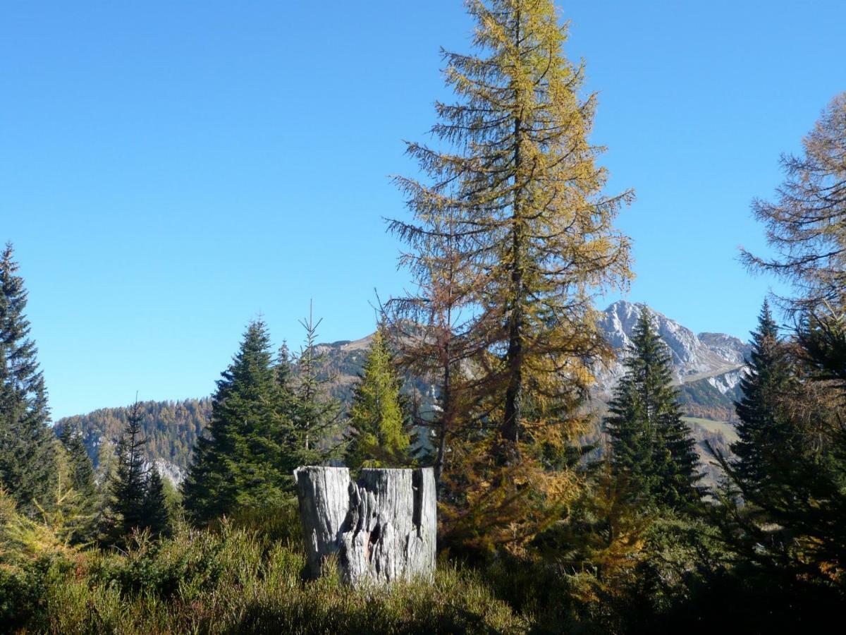 Holiday home Waldnerhuette Hermagor-Pressegger See